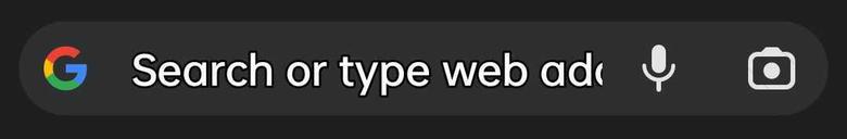 Google search bar